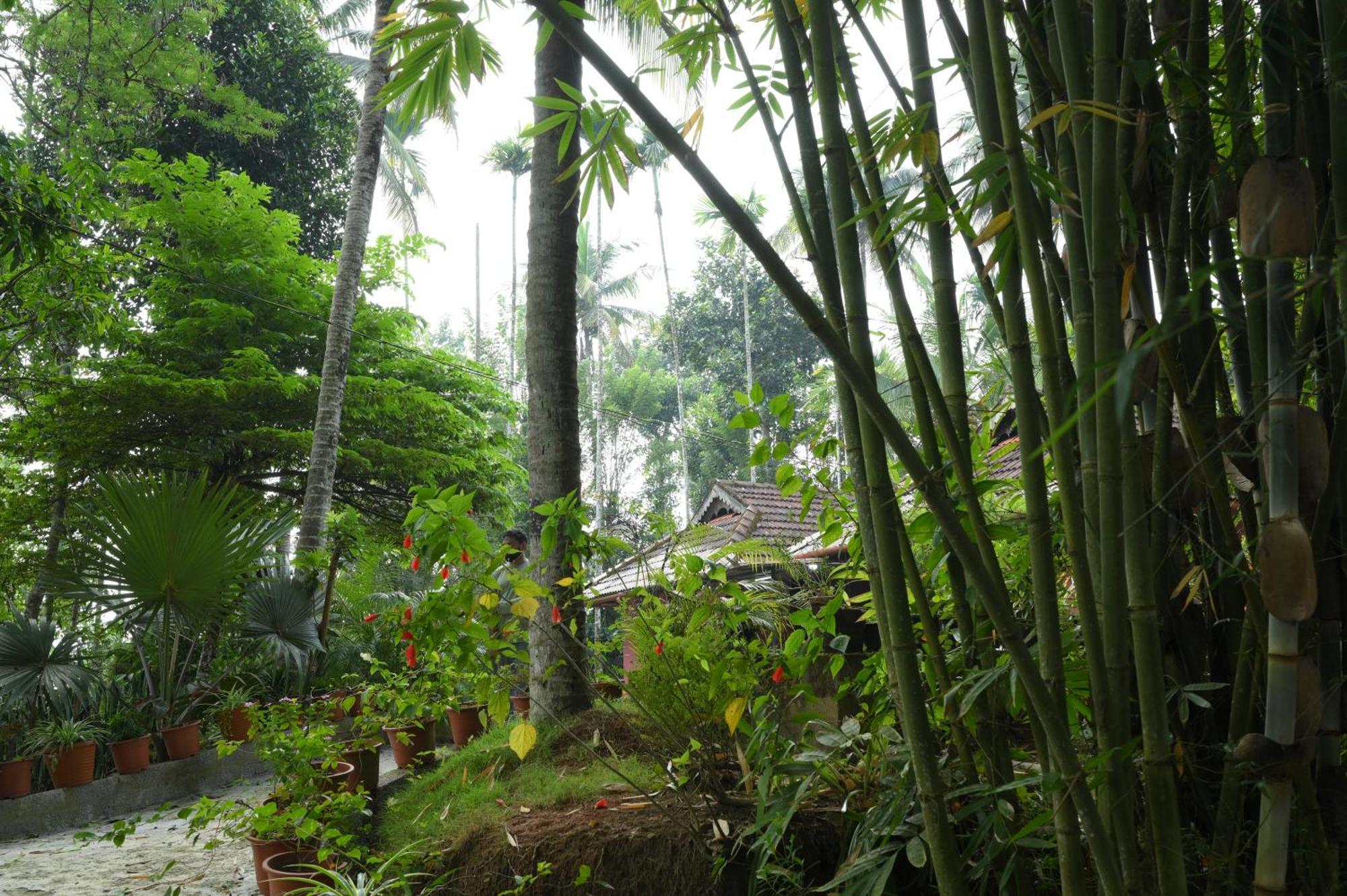 Coffee Island Resort Kaniyambetta Bagian luar foto