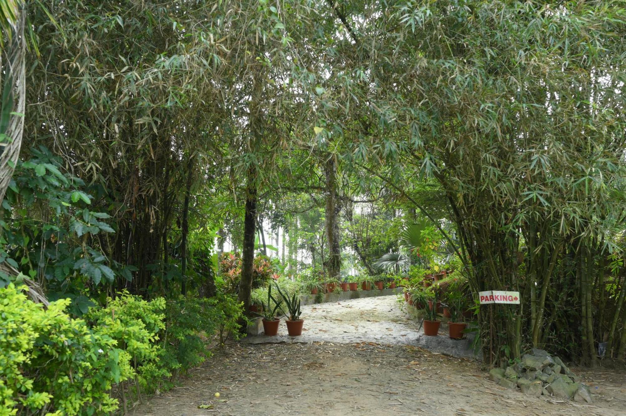 Coffee Island Resort Kaniyambetta Bagian luar foto