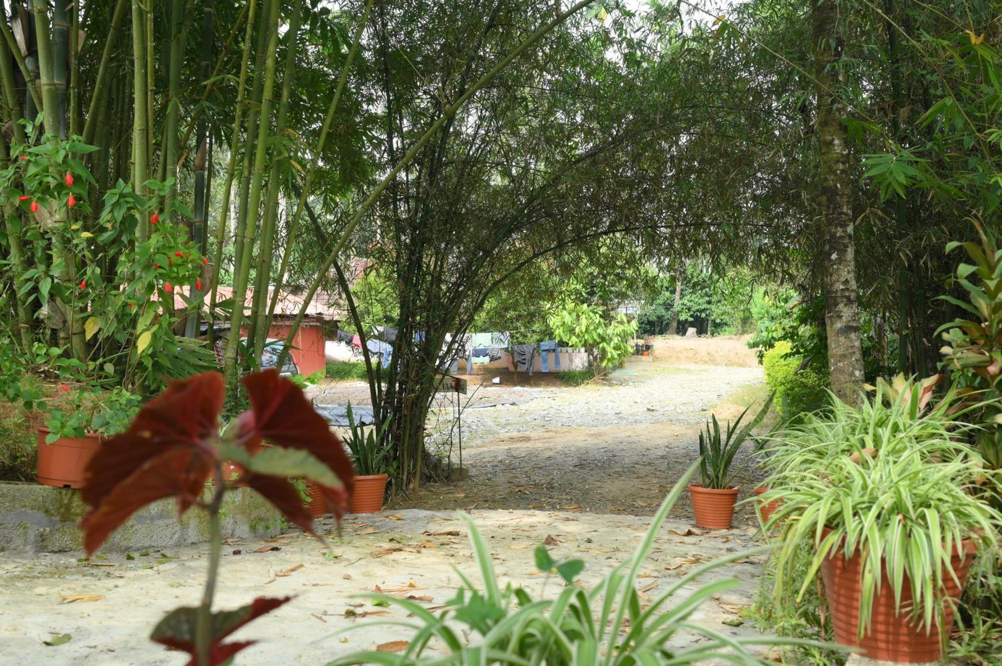 Coffee Island Resort Kaniyambetta Bagian luar foto