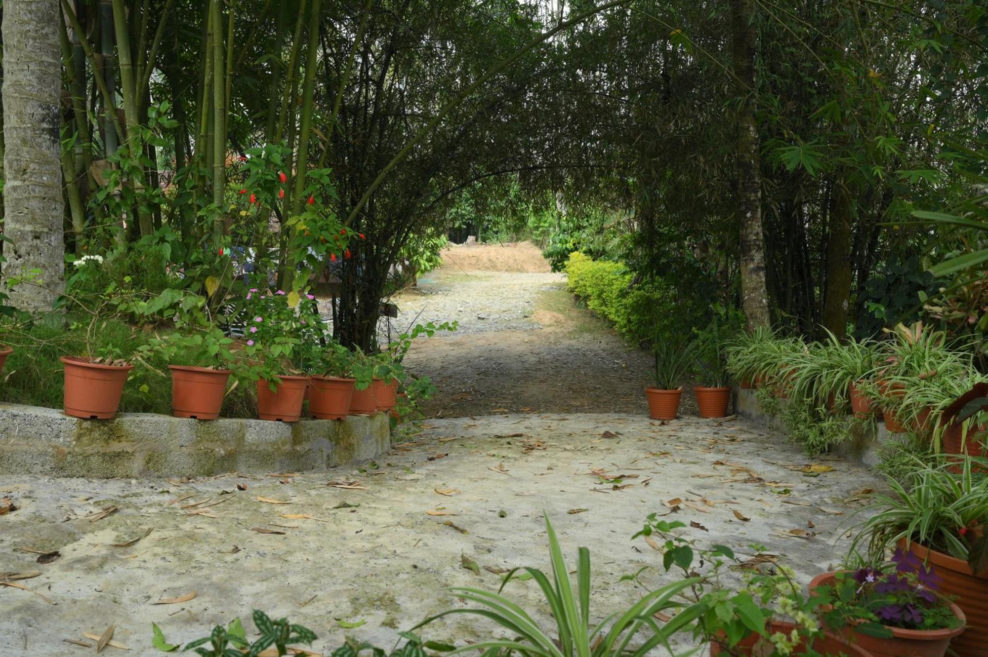Coffee Island Resort Kaniyambetta Bagian luar foto
