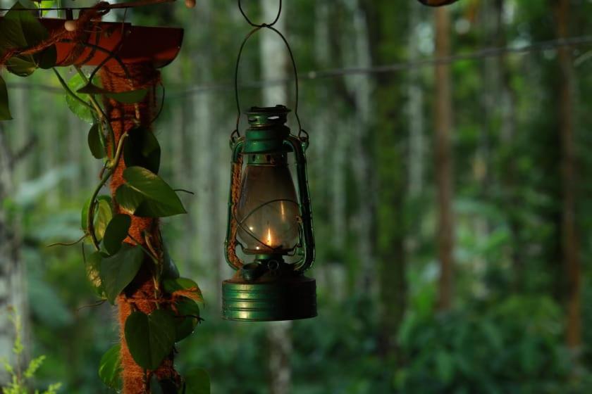 Coffee Island Resort Kaniyambetta Bagian luar foto