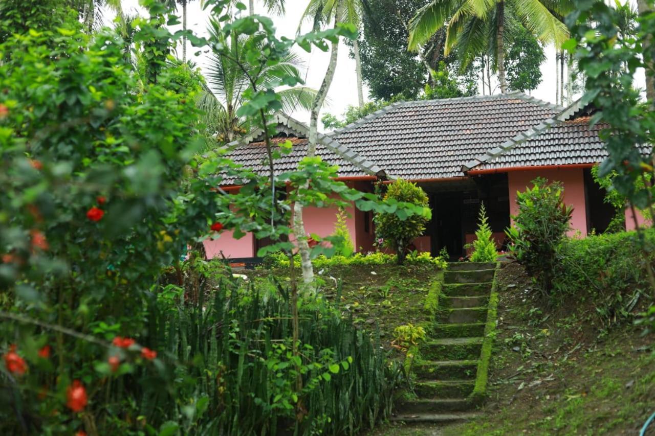 Coffee Island Resort Kaniyambetta Bagian luar foto